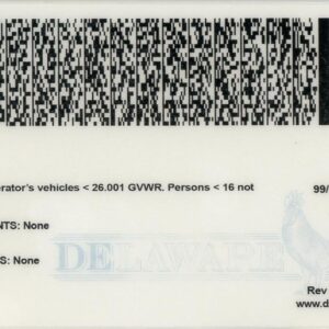 Fake driver license Delaware